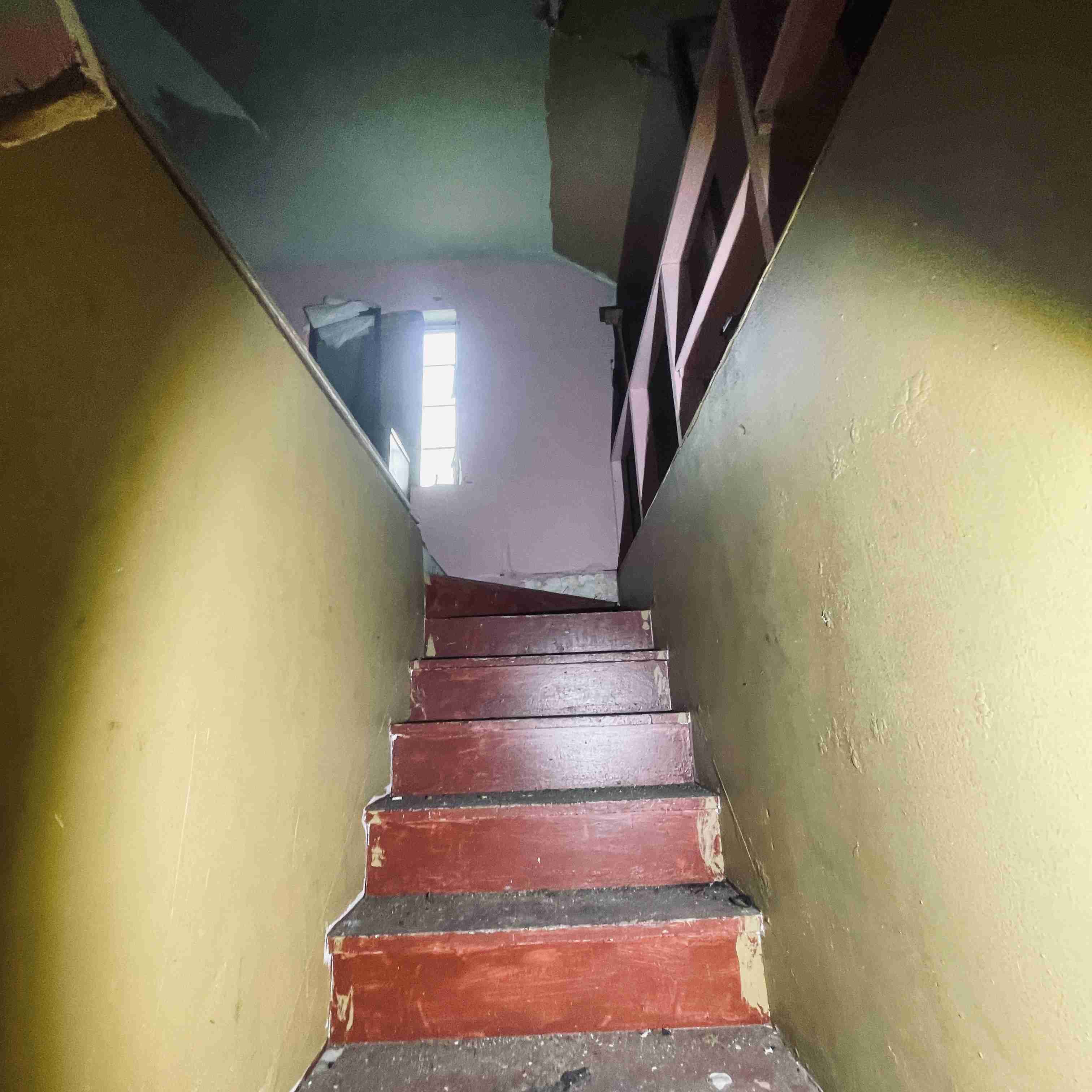 4277 TUXEDO (50).jpg